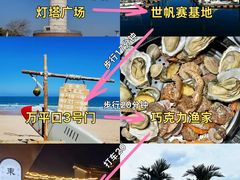 -日照海滨国家森林公园