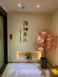 -颜和骨正·明哲式骨相美学整骨