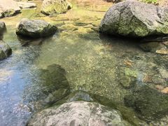 -重庆彩云湖湿地公园