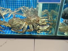 -顺德渔村·岭南一号