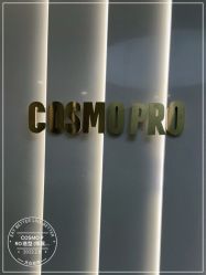 点击看大图 -COSMO PRO造型