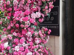 -Osteria Garden 生蚝花园餐厅(原进贤路店)