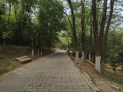 -云岗森林公园