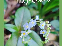 -龙窝子