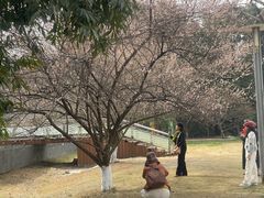 -国际非物质文化遗产博览园