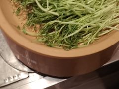 -龍歌自助小火锅(李沧丽达店)