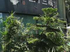-三十三碗黄牛肉面(东原1891店)