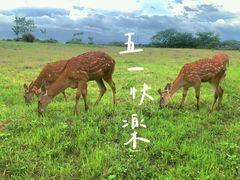 -良渚古城遗址公园