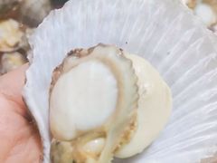 -鲜小岛·铜锅涮肉