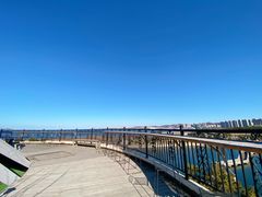 -莫内艺术岛海景咖啡
