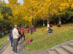 -重庆市江北嘴中央商务区中央公园