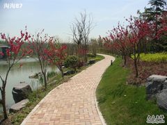 DSC04253-上海怡沁园度假酒店