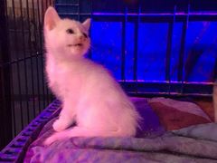 -赢吧Bliss音乐酒吧