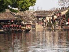 -西塘人家•黑金冠本地好店