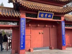 -桃花堤公园