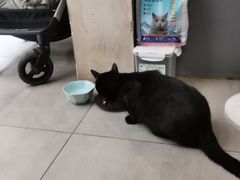 -石舍洒秀咖啡馆