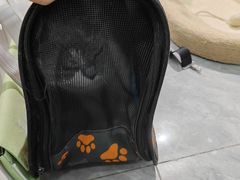 -爱洗澡的猫(望京店)