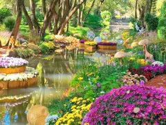 -上海共青森林公园