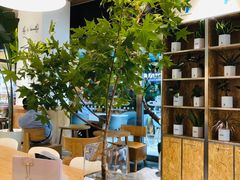 大堂-Blueglass酸奶(财富购物中心店)