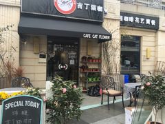 -吉丁鸟咖·异宠·寄养