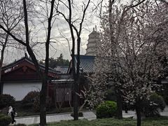 -大雁塔北广场音乐喷泉