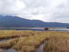 -腾冲北海湿地