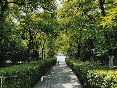 -合肥三国新城遗址公园