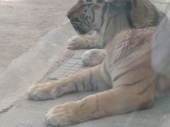 -荆州中山公园动物园