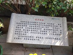 iphone_upload_pic-东部华侨城