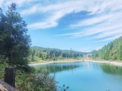 -武陵山森林公园