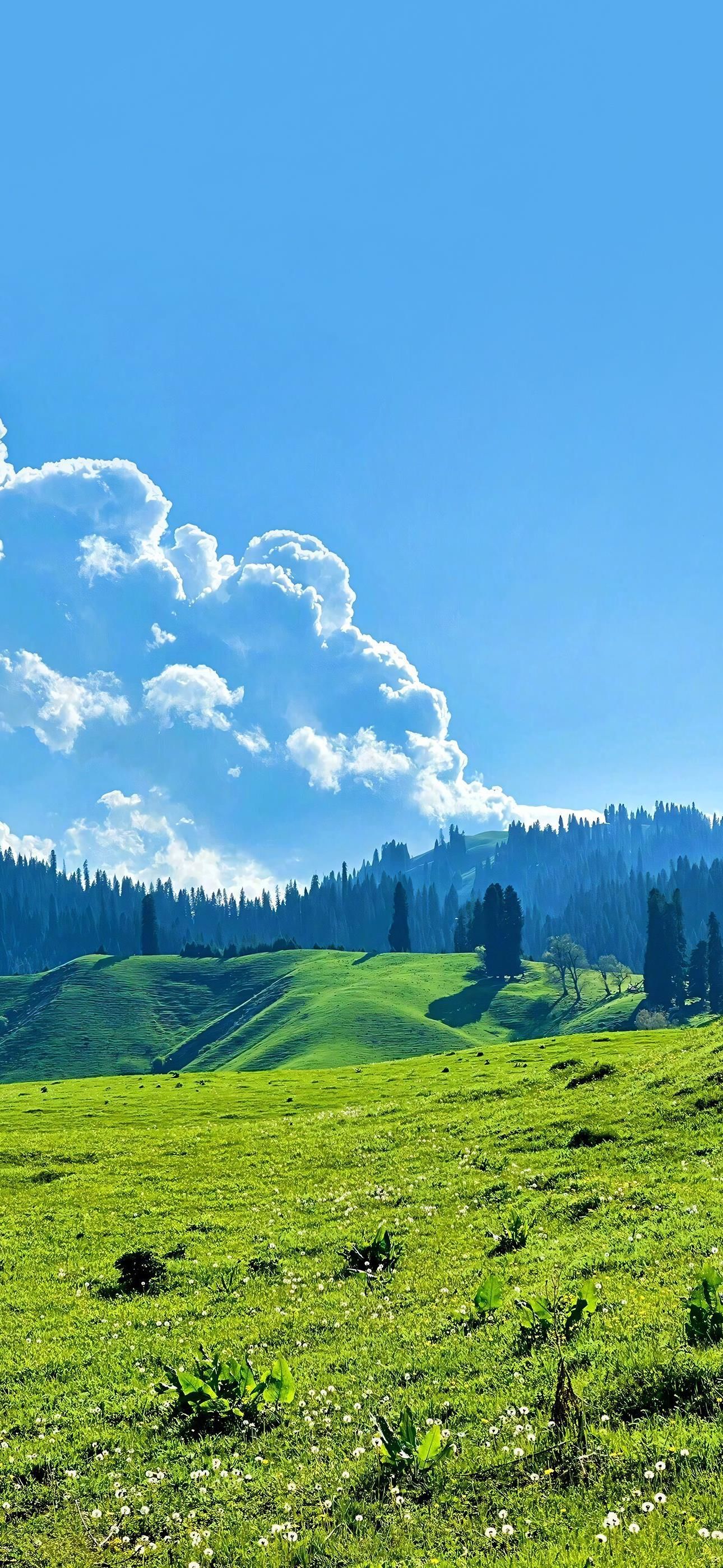 眼前的惊艳风光