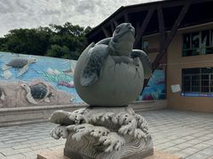 -广东惠东海龟国家级自然保护区