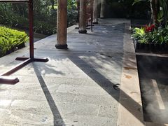 -腾冲洞山温泉村