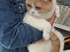 -爱侣宠医·鹦鹉专科·小型哺乳类·异宠专科(灵石路店)