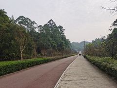 -乐山第一家临江鳝丝(茶坊路店)