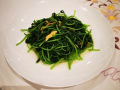 -粤珍轩·家宴·广式茶点(新城广场店)