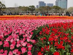 -大宁公园