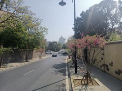 -八大关景区