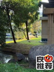 -爱帝宫月子中心(罗湖别墅院)