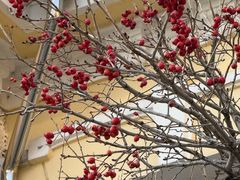 -哈尔滨工业大学-博物馆