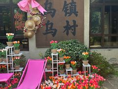 -乌村