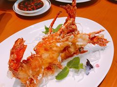 -广州富力君悦大酒店空中花园
