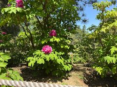 -国家植物园南园