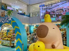 -凯德MALL(西直门店)