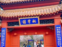 -桃花堤公园