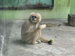 -石家庄市动物园