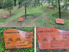 -黄帝陵