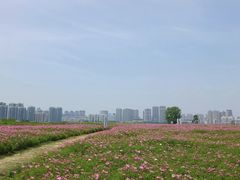 -汉江湾体育公园