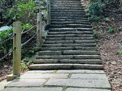 -水濂山森林公园