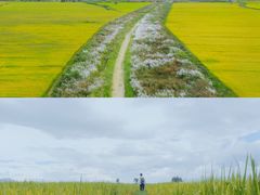 -大理洱海